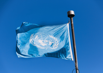 Manual de protocolo de la ONU